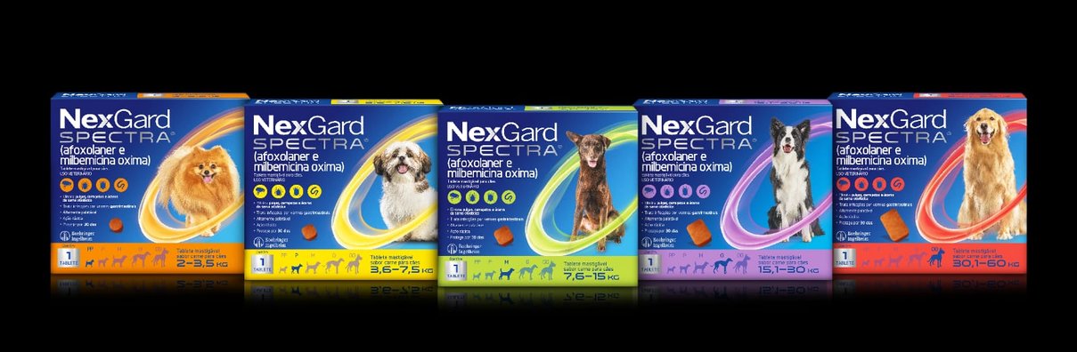 whatsapp image 2022 08 19 at 11 04 00