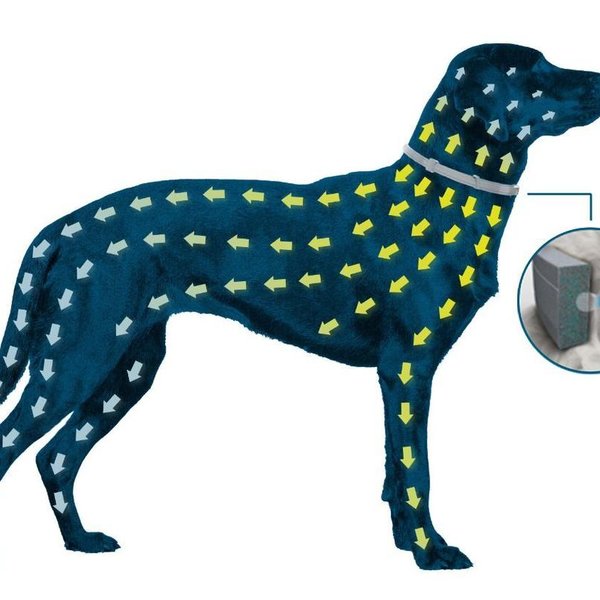 Coleira Antipulgas e Carrapatos Seresto para Cães acima de Kg Elanco