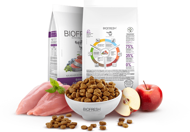 pack beneficios gato